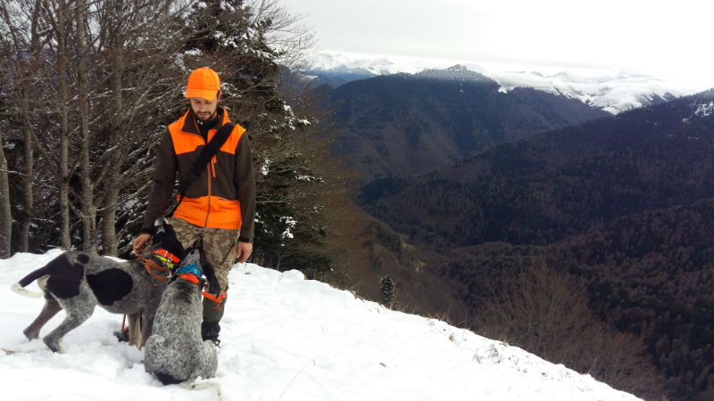 Chasse à la saison du grand gibier