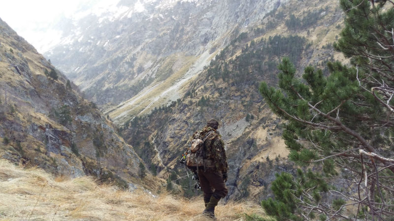 Chasse d’exception en vallée du Louron