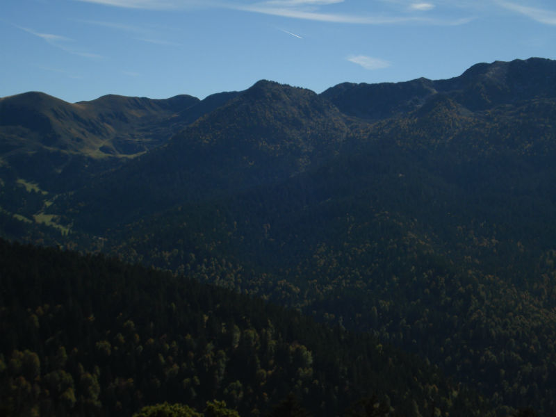 Chasse du grand gibier en battue