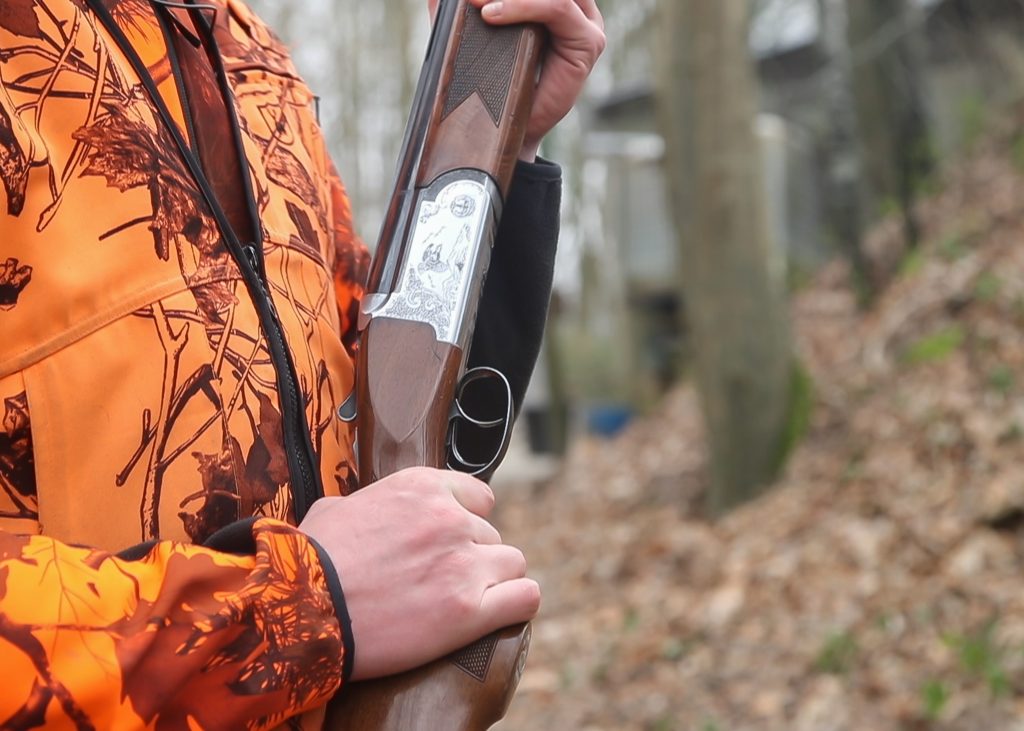Chasse battue Sanglier Chevreuil Daim – Pradinas